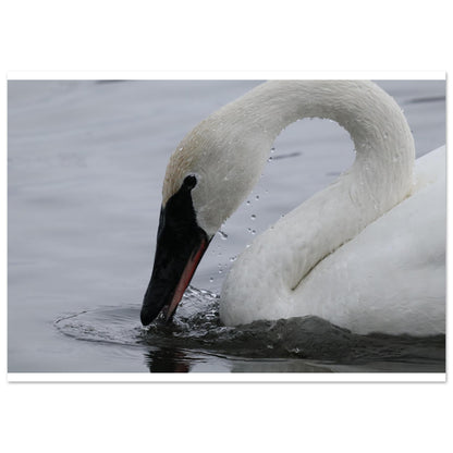 15f7cec7-9187-42e1-ac98-5cc67e48bd04