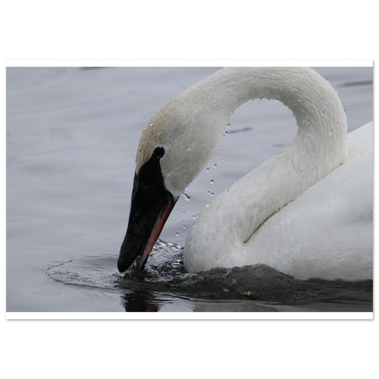 15f7cec7-9187-42e1-ac98-5cc67e48bd04