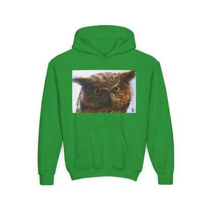 Youth Hoodie with Realistic Owl Art — Cute Kids Animal Pullover