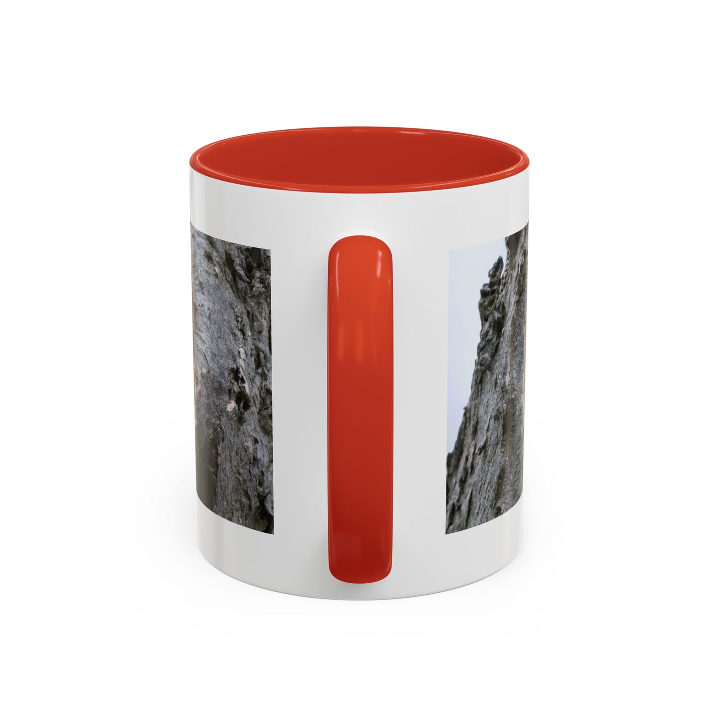 Bluebird in Tree Cavity Accent Coffee Mug — Nature Wildlife Ceramic Mug (11/15oz)