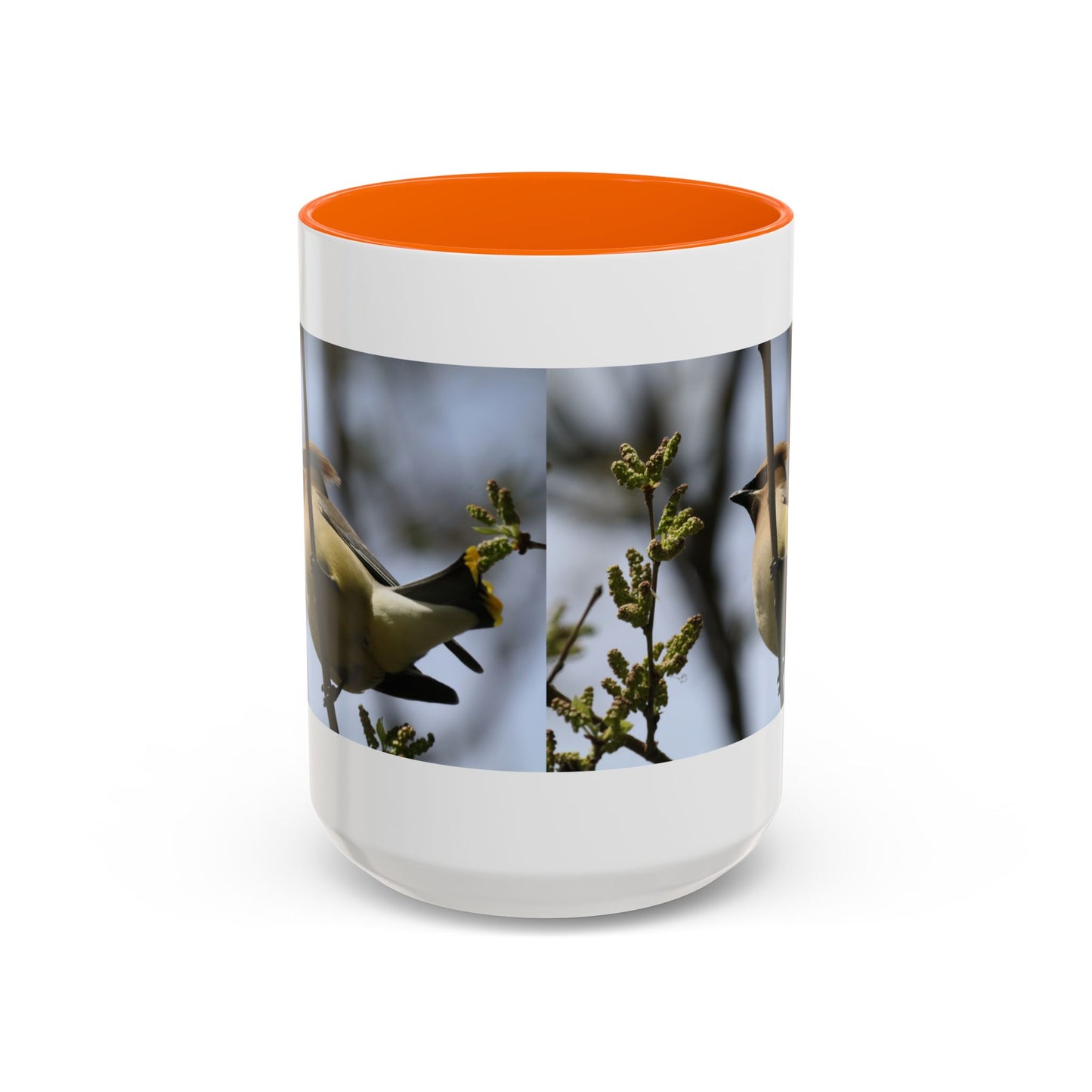 Cedar Waxwing Bird Photo Accent Coffee Mug