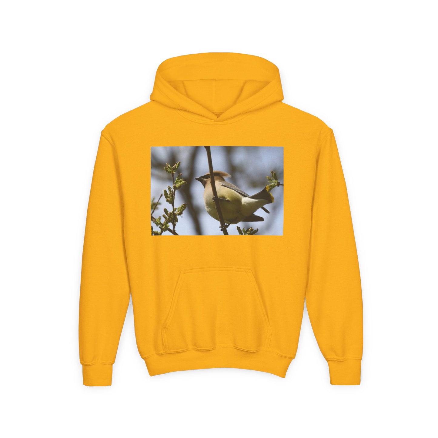 Cedar Waxwing Bird Hoodie | Youth Hooded Sweatshirt