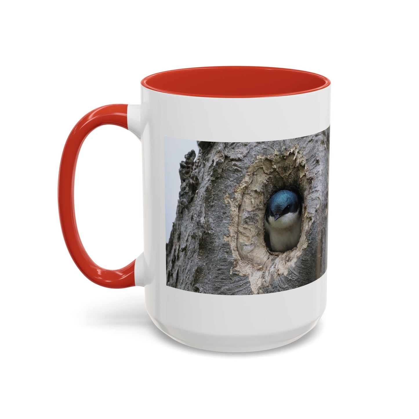 Bluebird in Tree Cavity Accent Coffee Mug — Nature Wildlife Ceramic Mug (11/15oz)