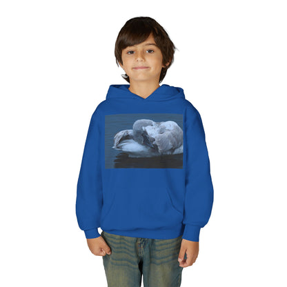 Youth Hoodie with Sleeping Swan Photo — Cozy Wildlife Sweatshirt