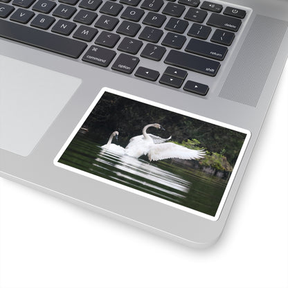 Swan Pair Kiss-Cut Sticker — Elegant White Swans on Lake Waterproof Decal