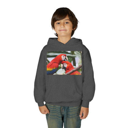 Youth Parrot Hoodie – Colorful Scarlet Macaw Kids Pullover