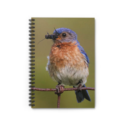Eastern Bluebird Photo Spiral Notebook — Ruled Journal for Bird Lovers & Nature Observers