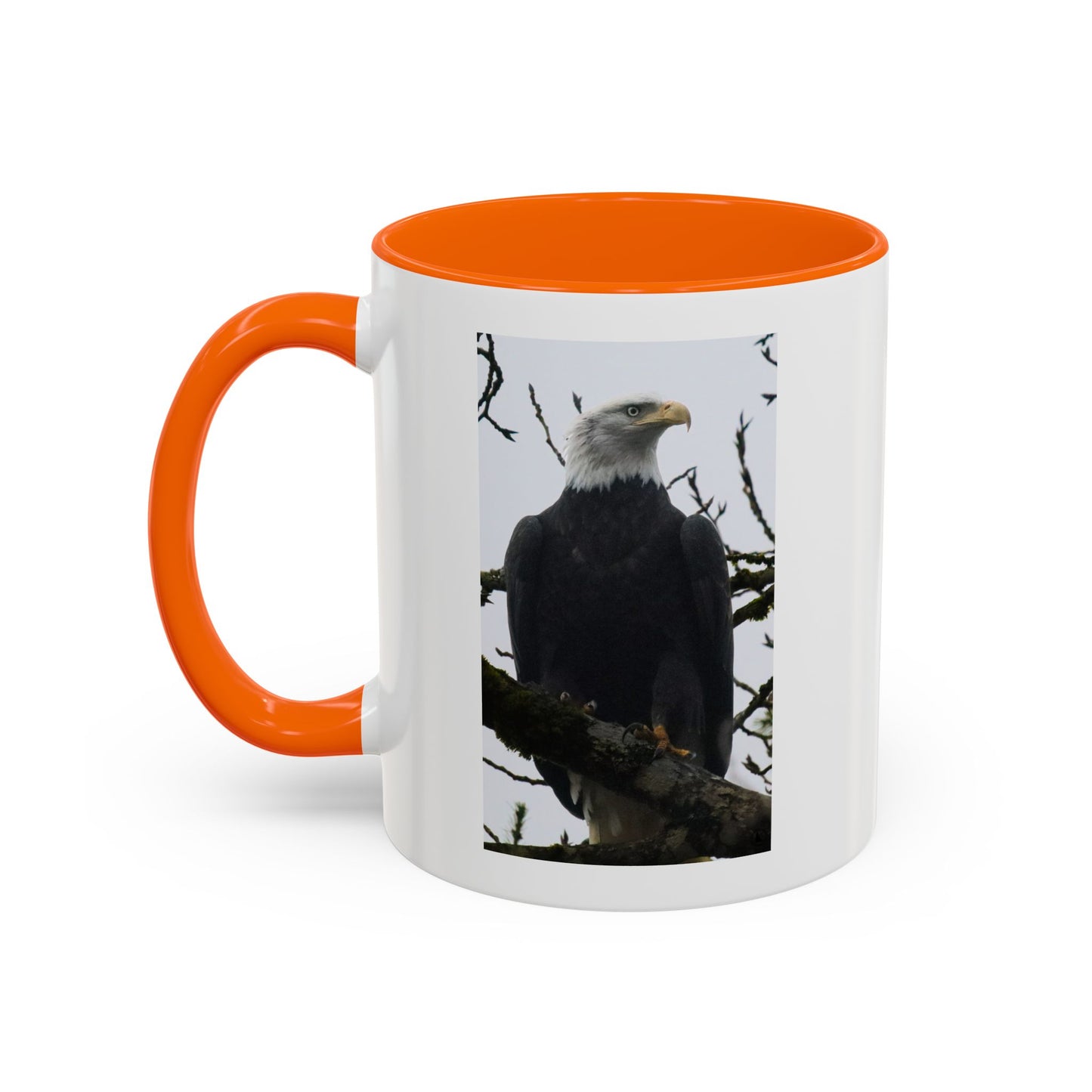 Bald Eagle Accent Coffee Mug – Patriotic Wildlife 11/15oz