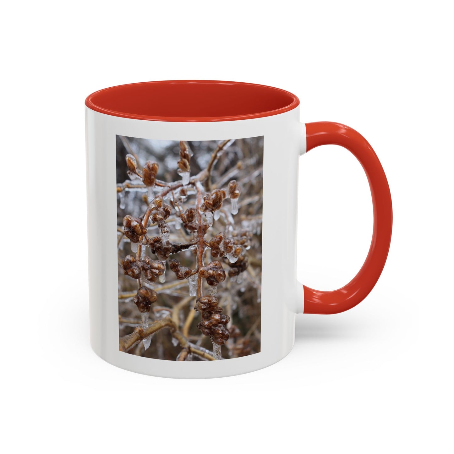Ice-Coated Berries Accent Coffee Mug (11/15 oz) — Winter Nature Photo