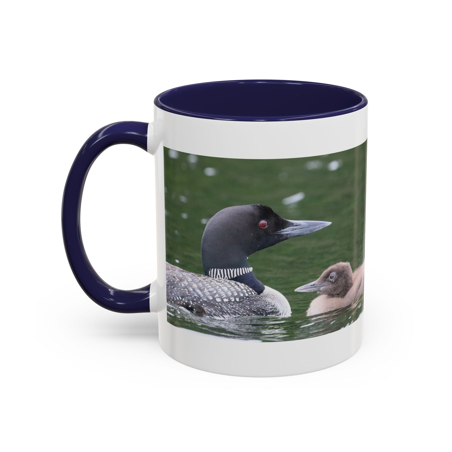 Loon Family Accent Coffee Mug – Wildlife Photo Tea Mug (11/15 oz)