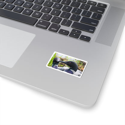 Common Loon Photo Sticker — Wildlife Kiss-Cut Decal