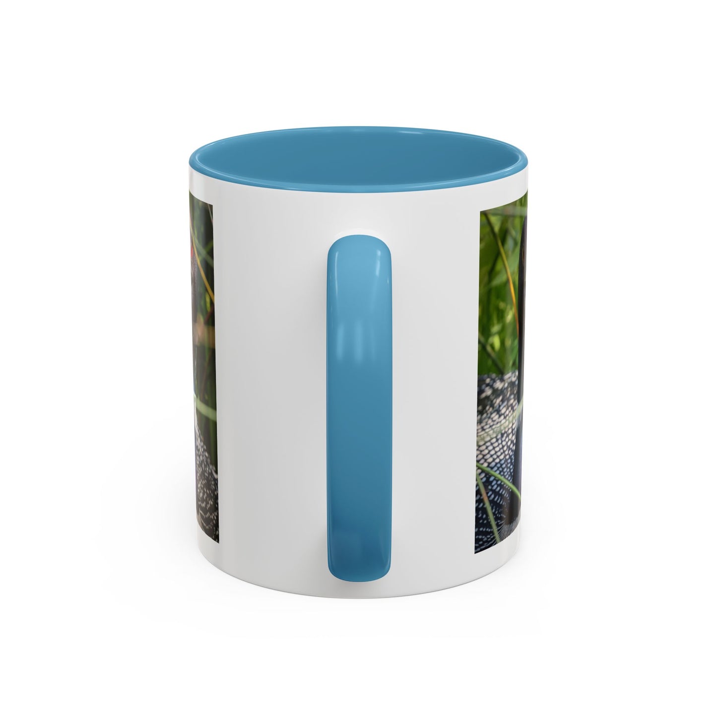 Common Loon Photo Accent Coffee Mug (11/15oz)