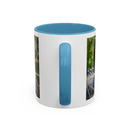 Common Loon Photo Accent Coffee Mug (11/15oz)