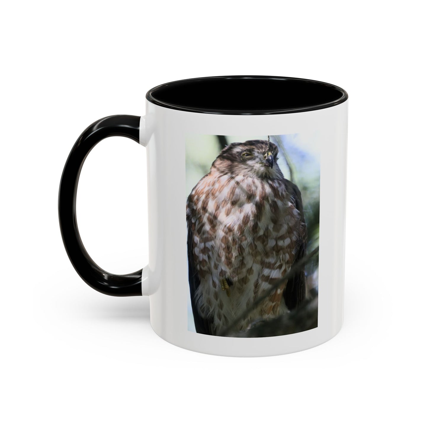 Hawk Photo Accent Coffee Mug — Birdwatcher Gift, 11/15oz