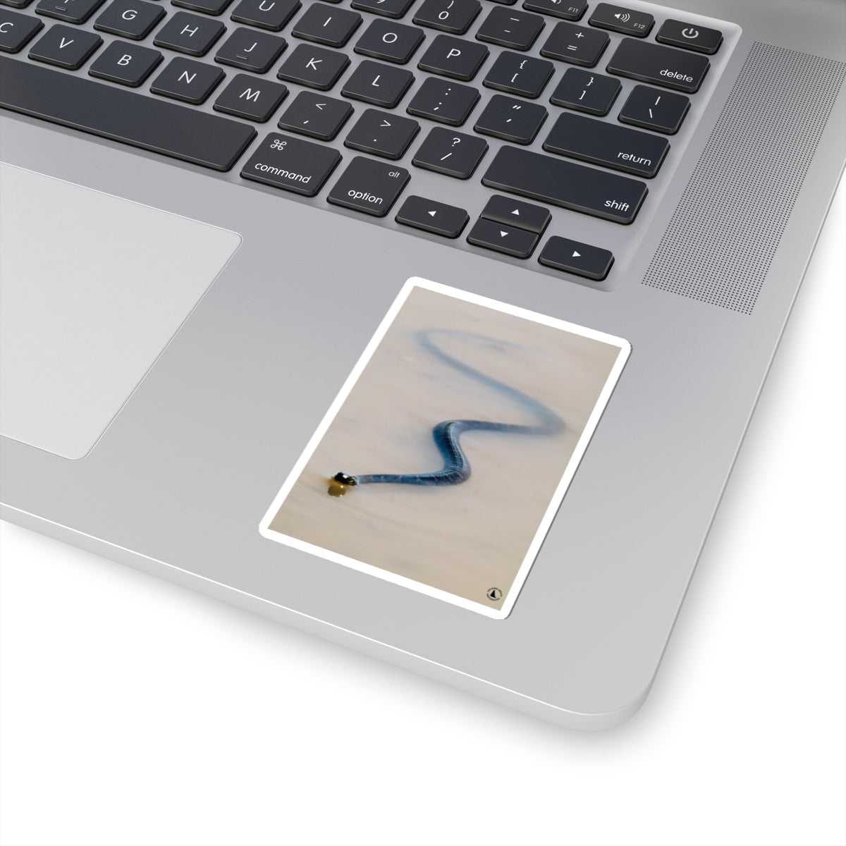 Blue Viper Snake Kiss-Cut Sticker — Realistic Serpent Decorative Decal