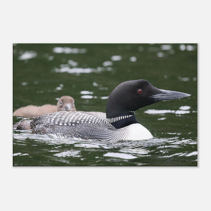 161c89e7-e72f-422c-bd16-a25e1f0ff78d