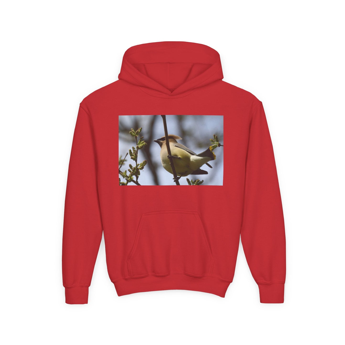 Cedar Waxwing Bird Hoodie | Youth Hooded Sweatshirt