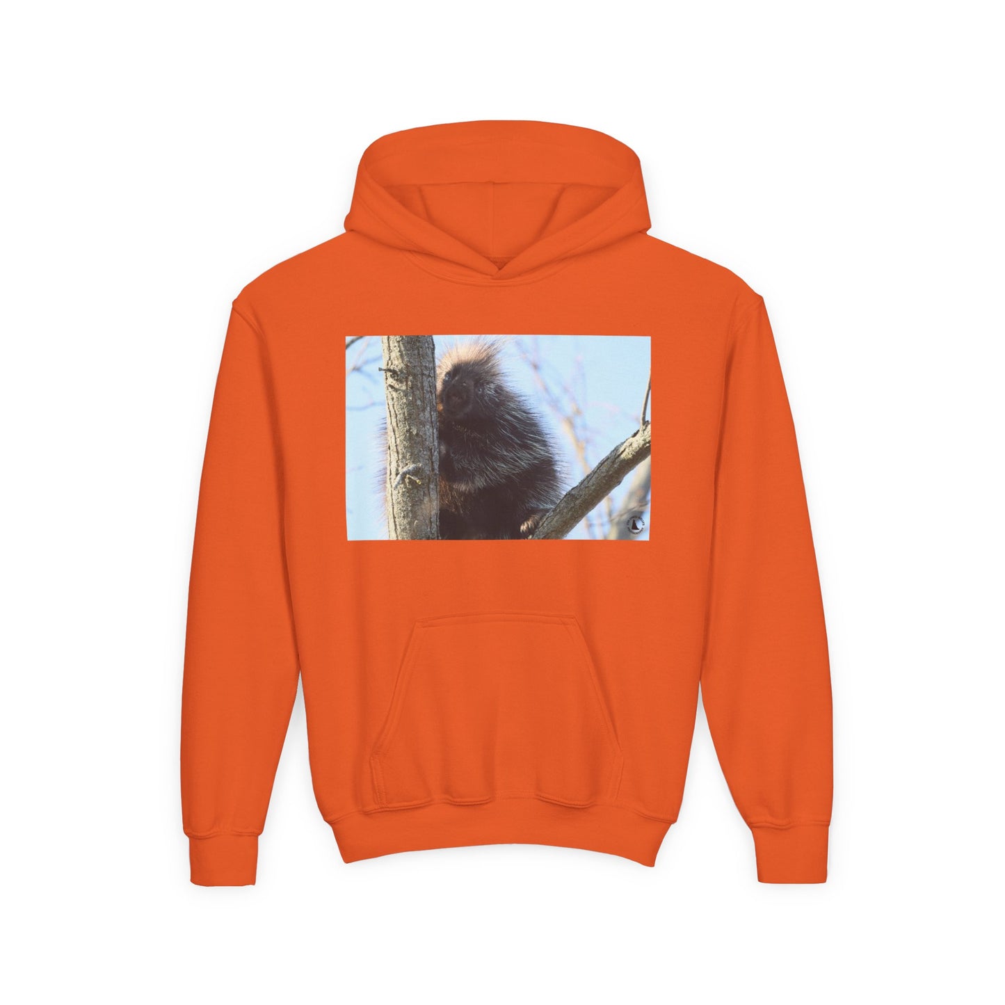 Youth Hoodie with Tree-Climbing Porcupine Photo – Cute Wildlife Kids Sweatshirt