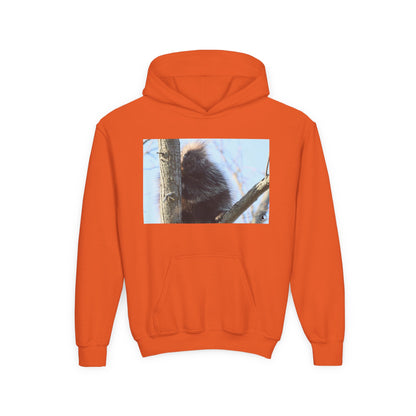 Youth Hoodie with Tree-Climbing Porcupine Photo – Cute Wildlife Kids Sweatshirt