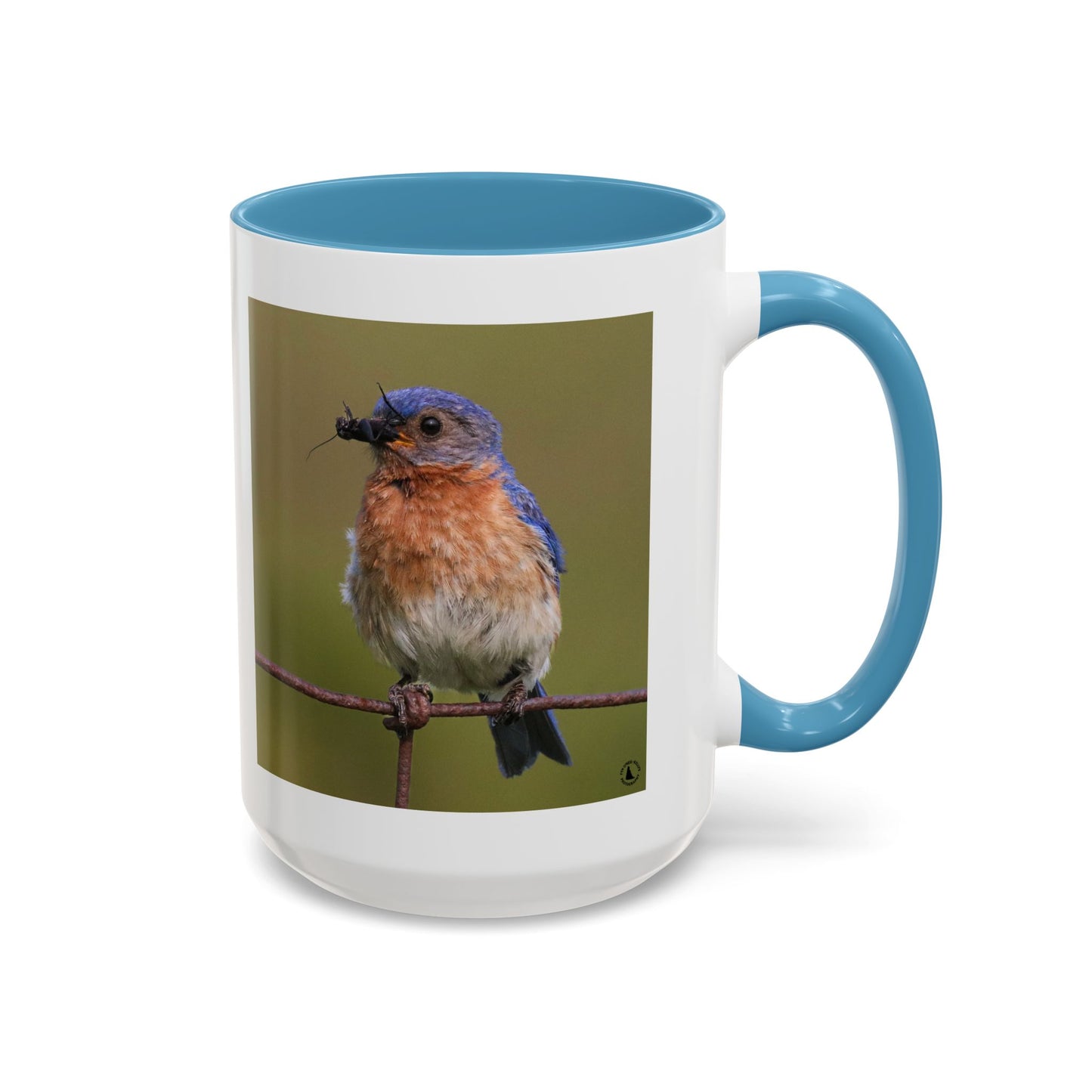 Bluebird Photo Coffee Mug — Eastern Bluebird with Insect Accent Mug (11/15 oz)