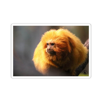 Golden Lion Tamarin Sticker — Cute Tropical Monkey Laptop Decal