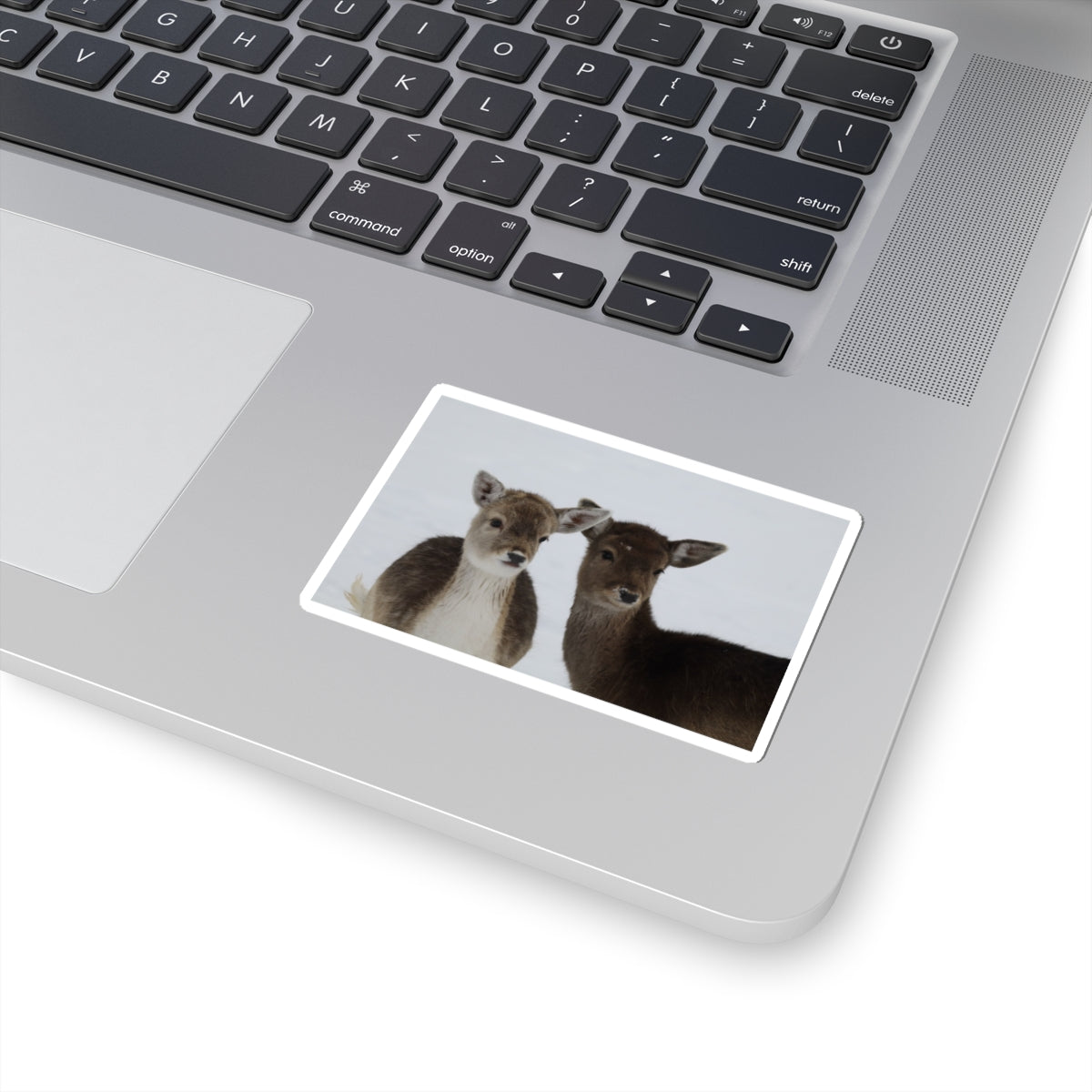 Fawn Pair Sticker — Cute Deer Kiss-Cut Vinyl Decal for Laptops & Water Bottles