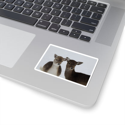 Fawn Pair Sticker — Cute Deer Kiss-Cut Vinyl Decal for Laptops & Water Bottles