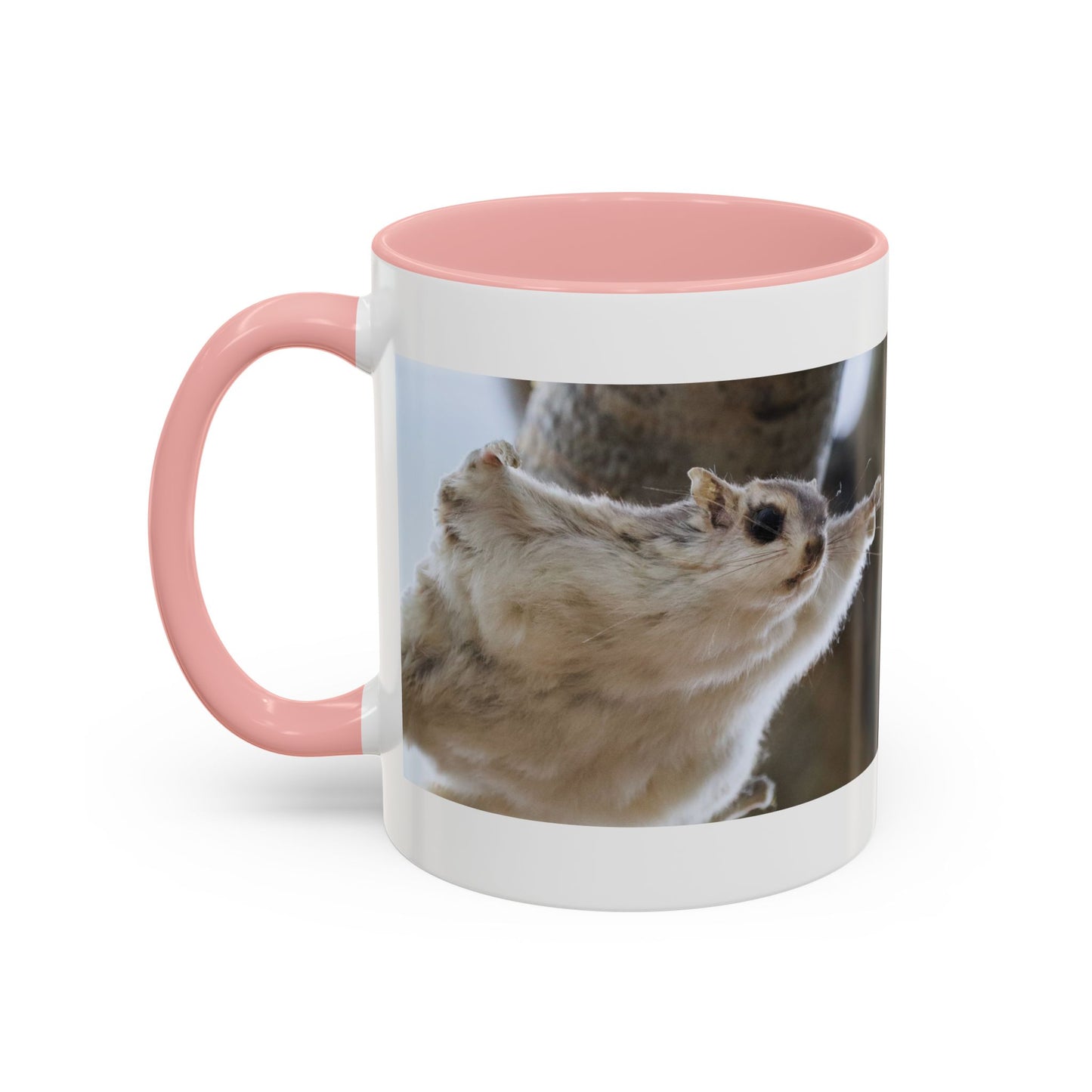 Flying Squirrel Accent Coffee Mug — Cute Wildlife Photo Mug (11/15oz)