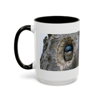 Bluebird in Tree Cavity Accent Coffee Mug — Nature Wildlife Ceramic Mug (11/15oz)