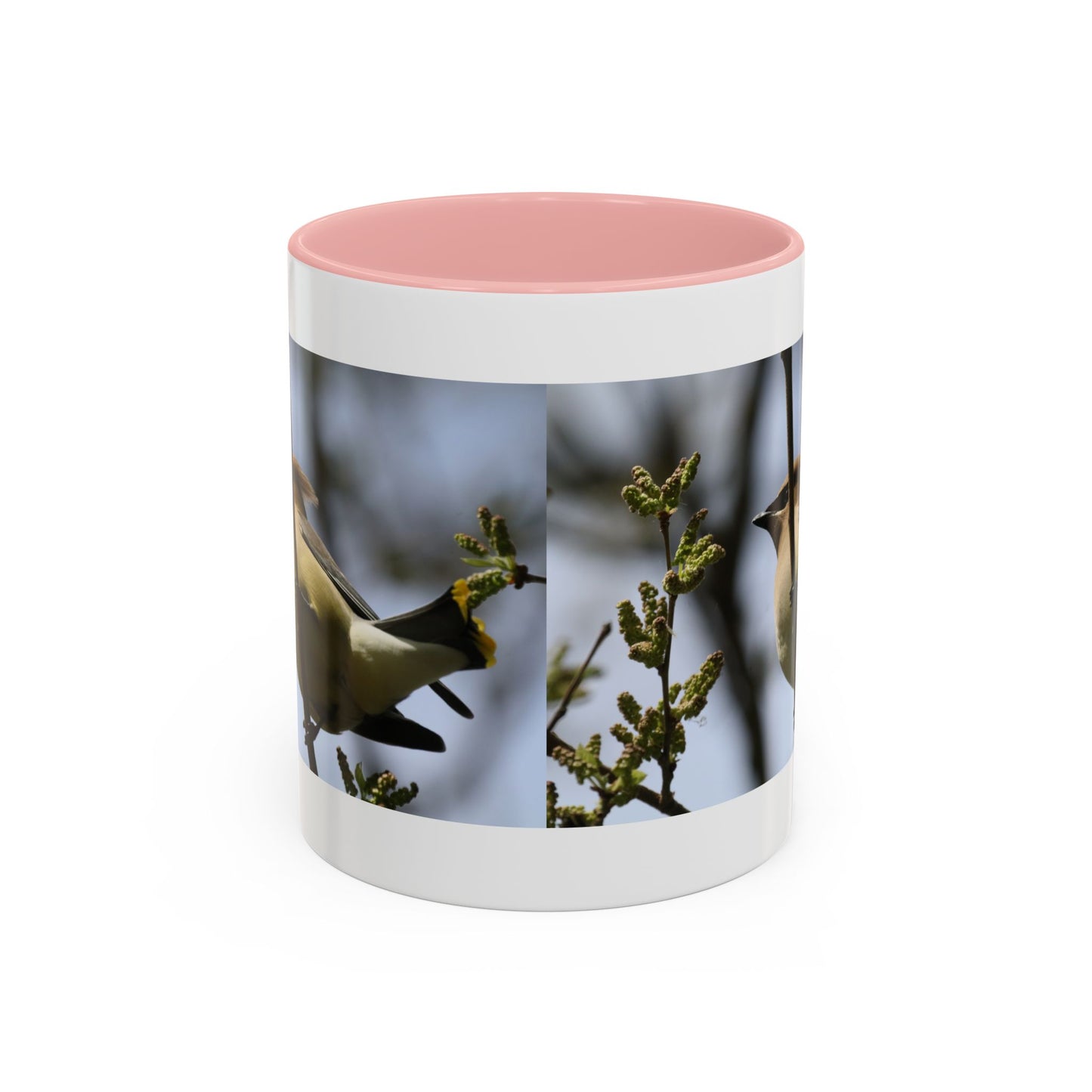 Cedar Waxwing Bird Photo Accent Coffee Mug