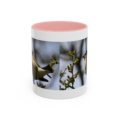 Cedar Waxwing Bird Photo Accent Coffee Mug