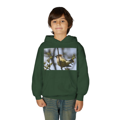 Cedar Waxwing Bird Hoodie | Youth Hooded Sweatshirt