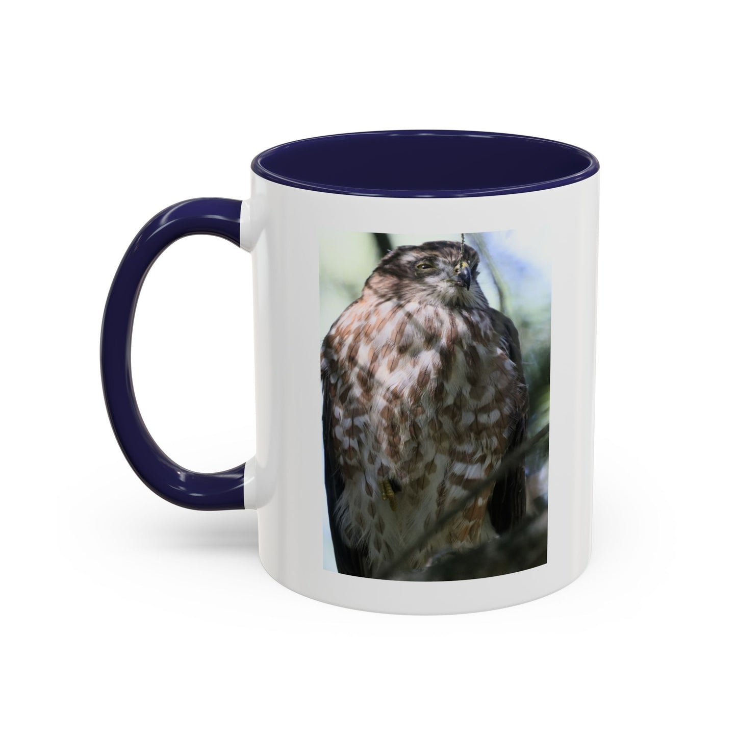 Hawk Photo Accent Coffee Mug — Birdwatcher Gift, 11/15oz