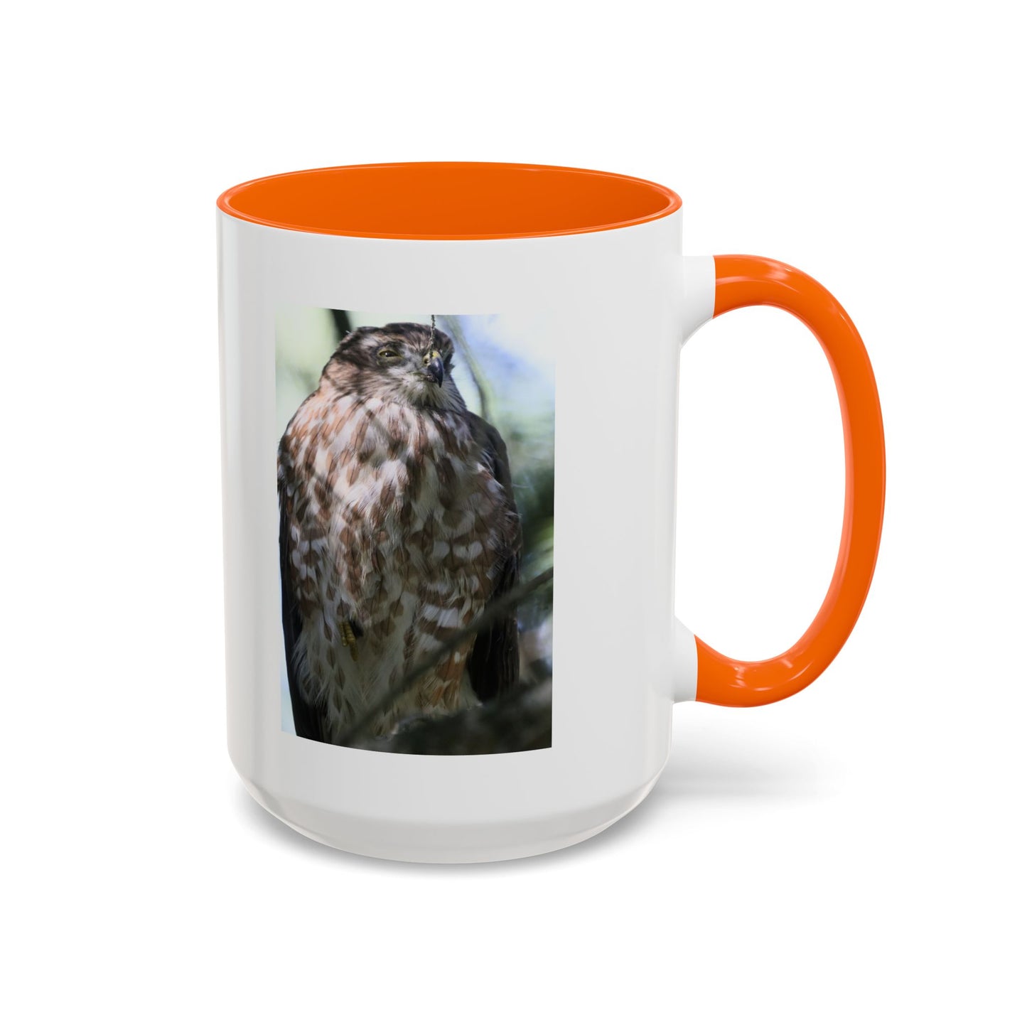Hawk Photo Accent Coffee Mug — Birdwatcher Gift, 11/15oz