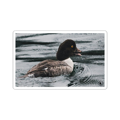 Kiss-Cut Sticker — Realistic Duck on Water Photograph | Waterproof Laptop Decal