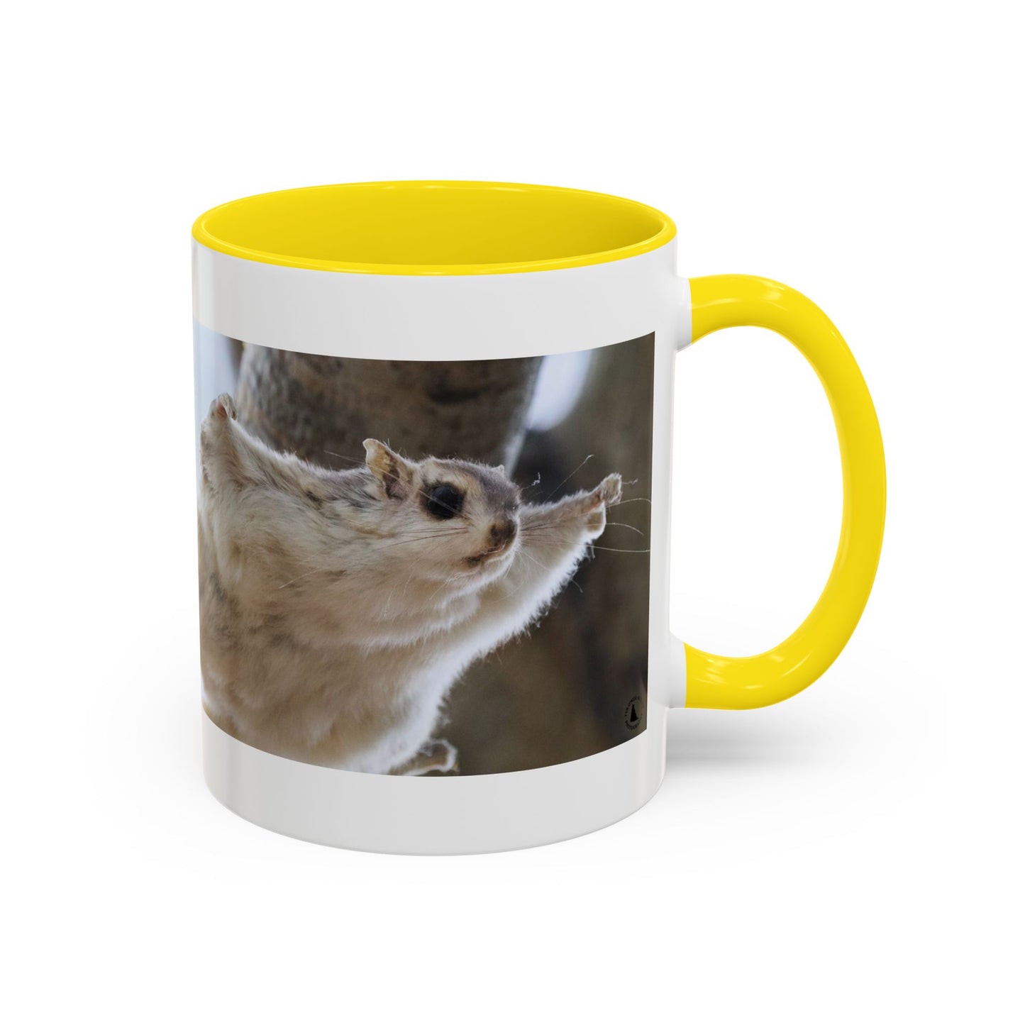 Flying Squirrel Accent Coffee Mug — Cute Wildlife Photo Mug (11/15oz)