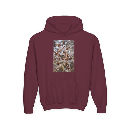 Youth Hoodie — Frosted Winter Berries Photo Print