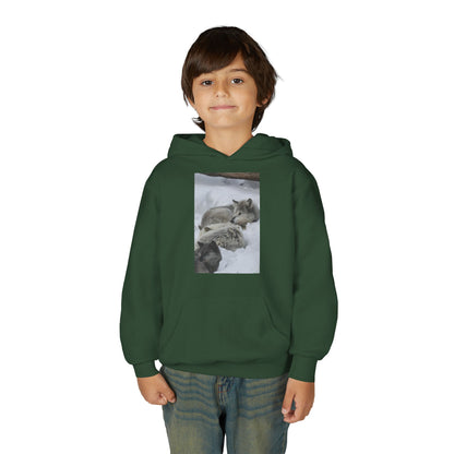 Sleeping Foxes Youth Hoodie | Wildlife Photography, Snow Scene