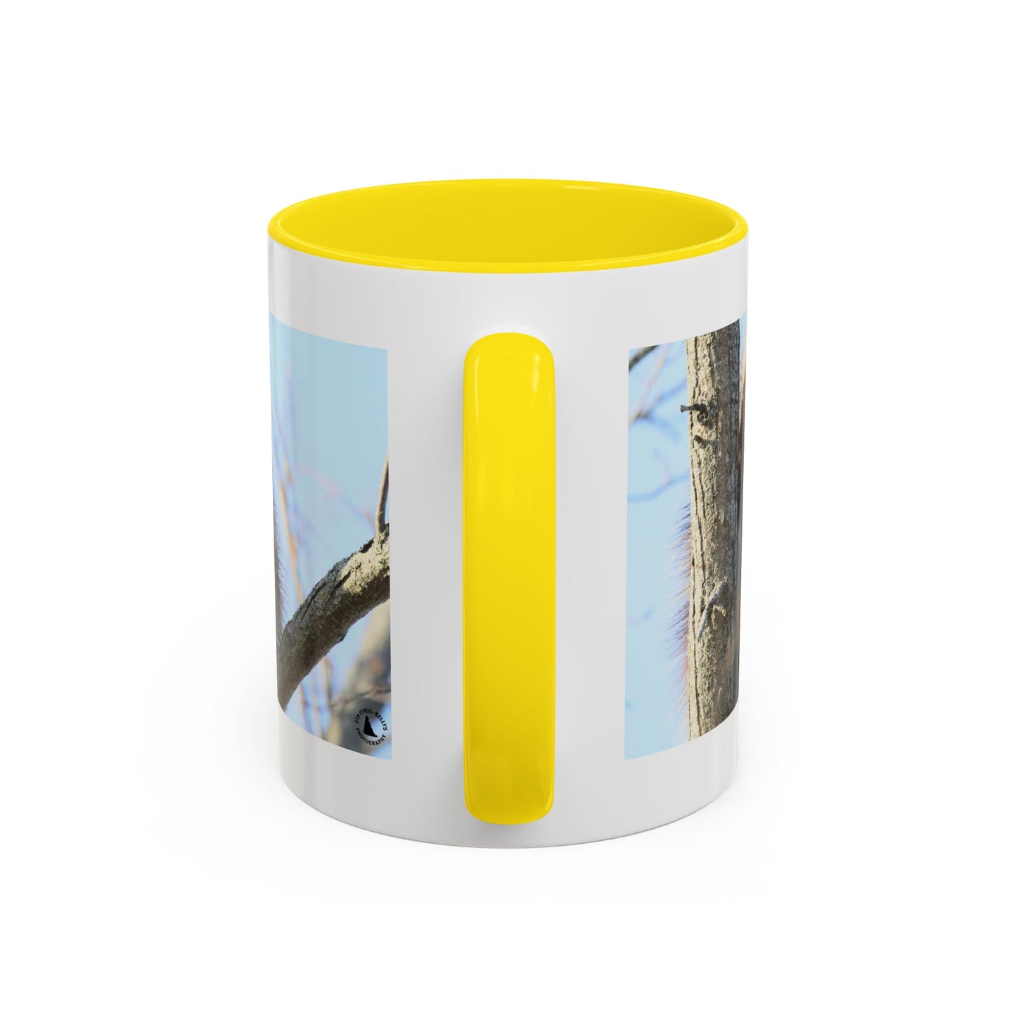 Porcupine Photo Accent Coffee Mug — Wildlife Nature Lover Gift (11/15oz)