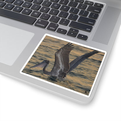 Brown Pelican Kiss-Cut Sticker — Coastal Wildlife Photography Sticker