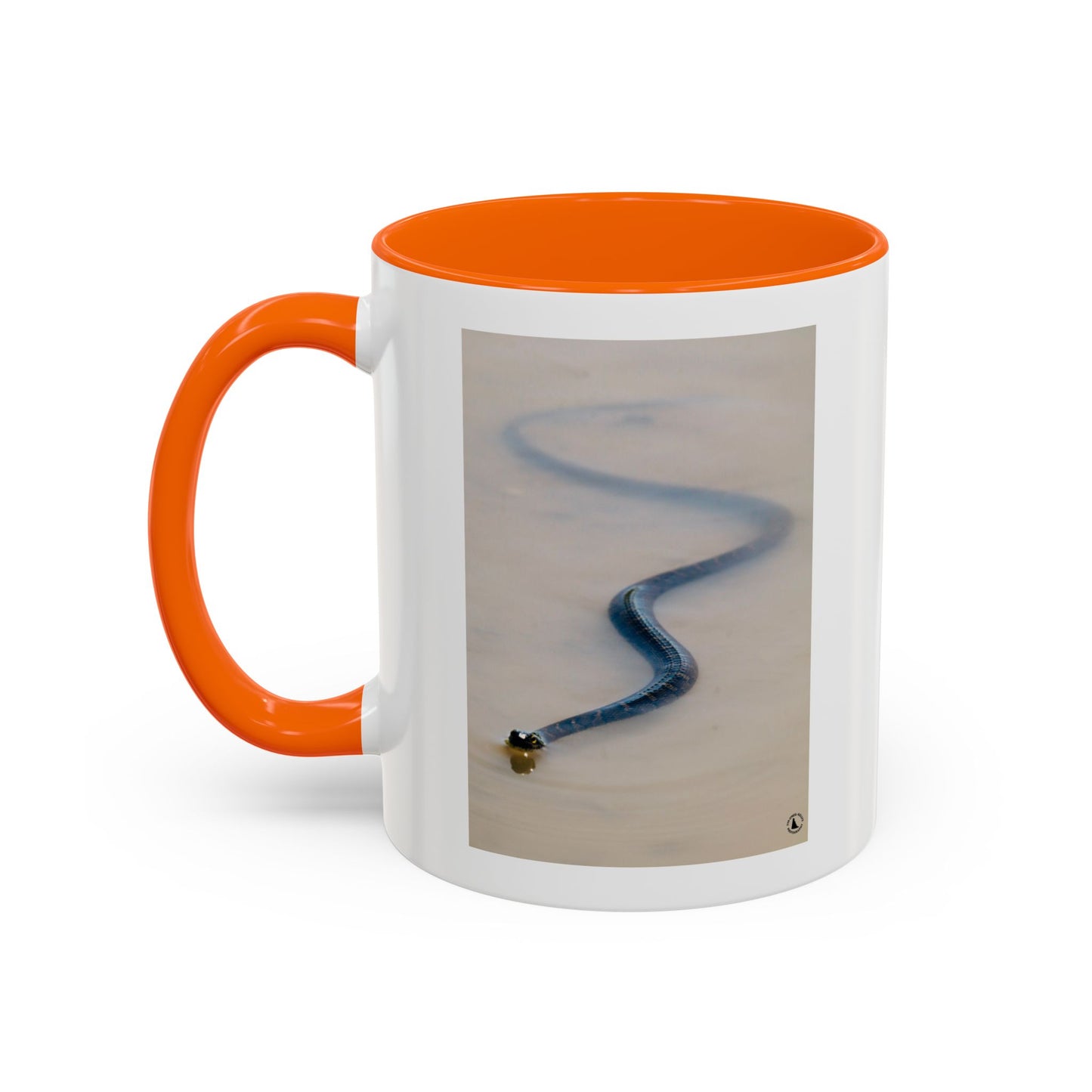Serpentine Ribbon Snake Coffee Mug — Nature Photography Accent Mug (11/15oz)