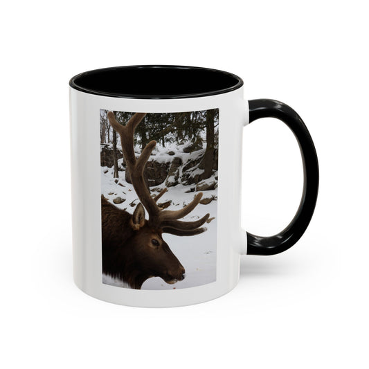 Elk in Snow Accent Coffee Mug — Nature Wildlife Photo Mug (11/15oz)