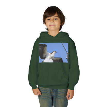 Youth Osprey Photo Hoodie — Kids Birdwatching Nature Pullover