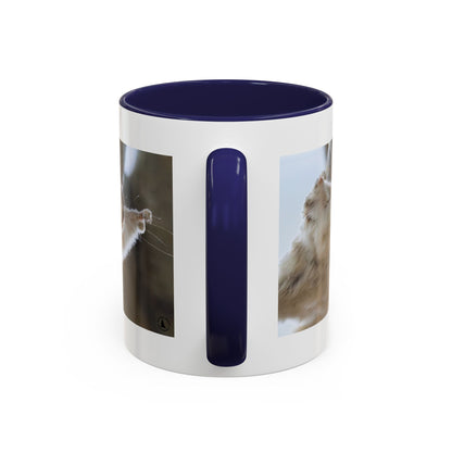 Flying Squirrel Accent Coffee Mug — Cute Wildlife Photo Mug (11/15oz)