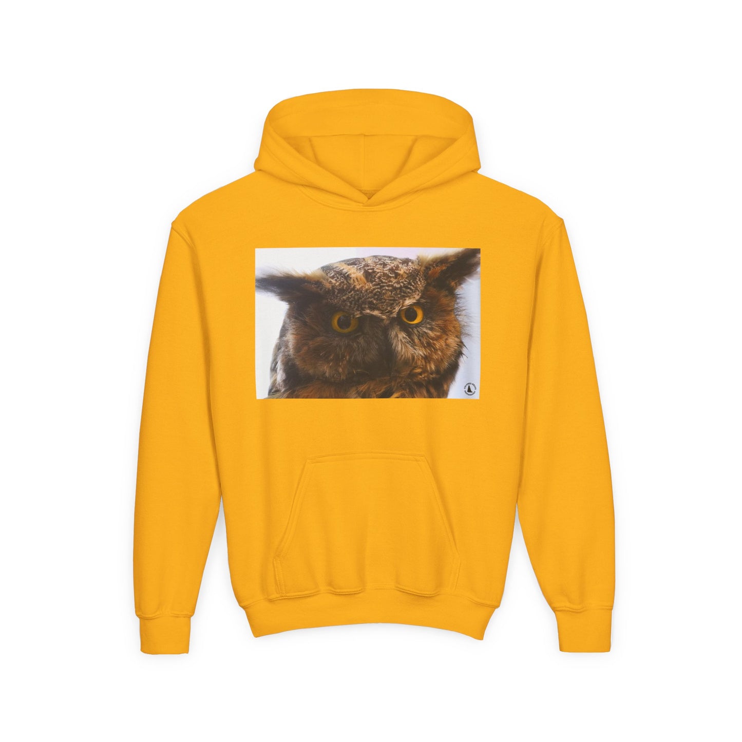 Youth Hoodie with Realistic Owl Art — Cute Kids Animal Pullover