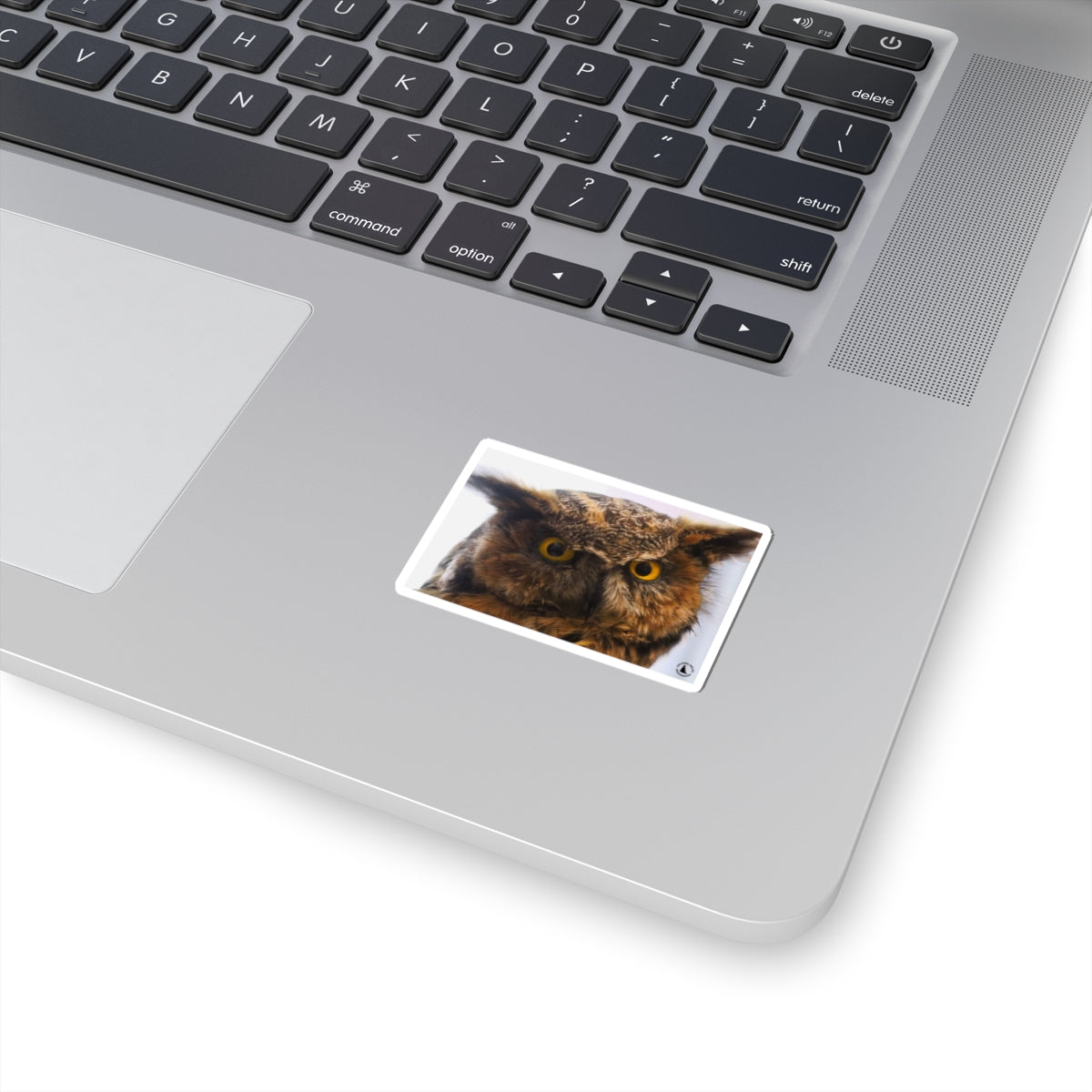 Great Horned Owl Kiss-Cut Sticker — Realistic Owl Laptop & Water Bottle Decal