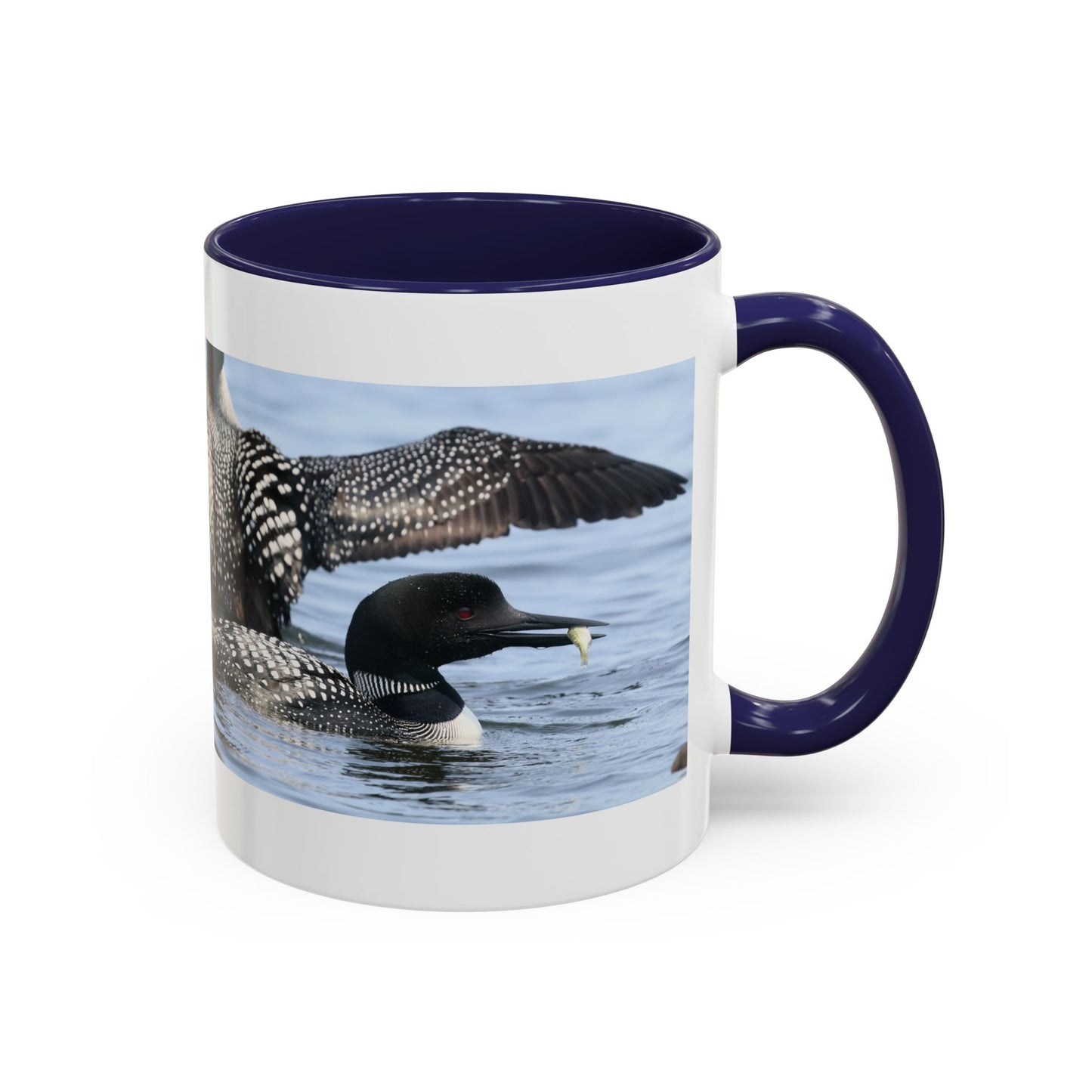 Common Loon Accent Coffee Mug – Wildlife Photography Bird Lover Gift (11/15oz)