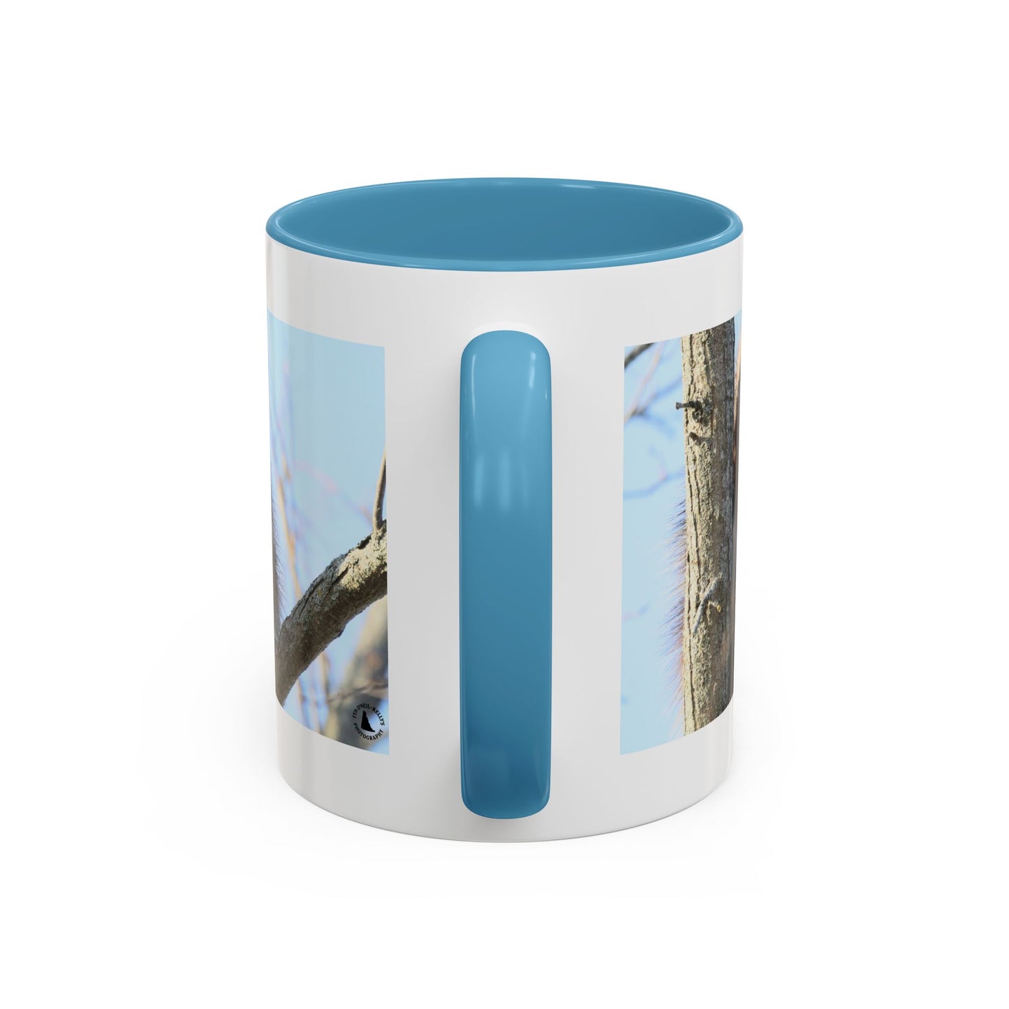 Porcupine Photo Accent Coffee Mug — Wildlife Nature Lover Gift (11/15oz)