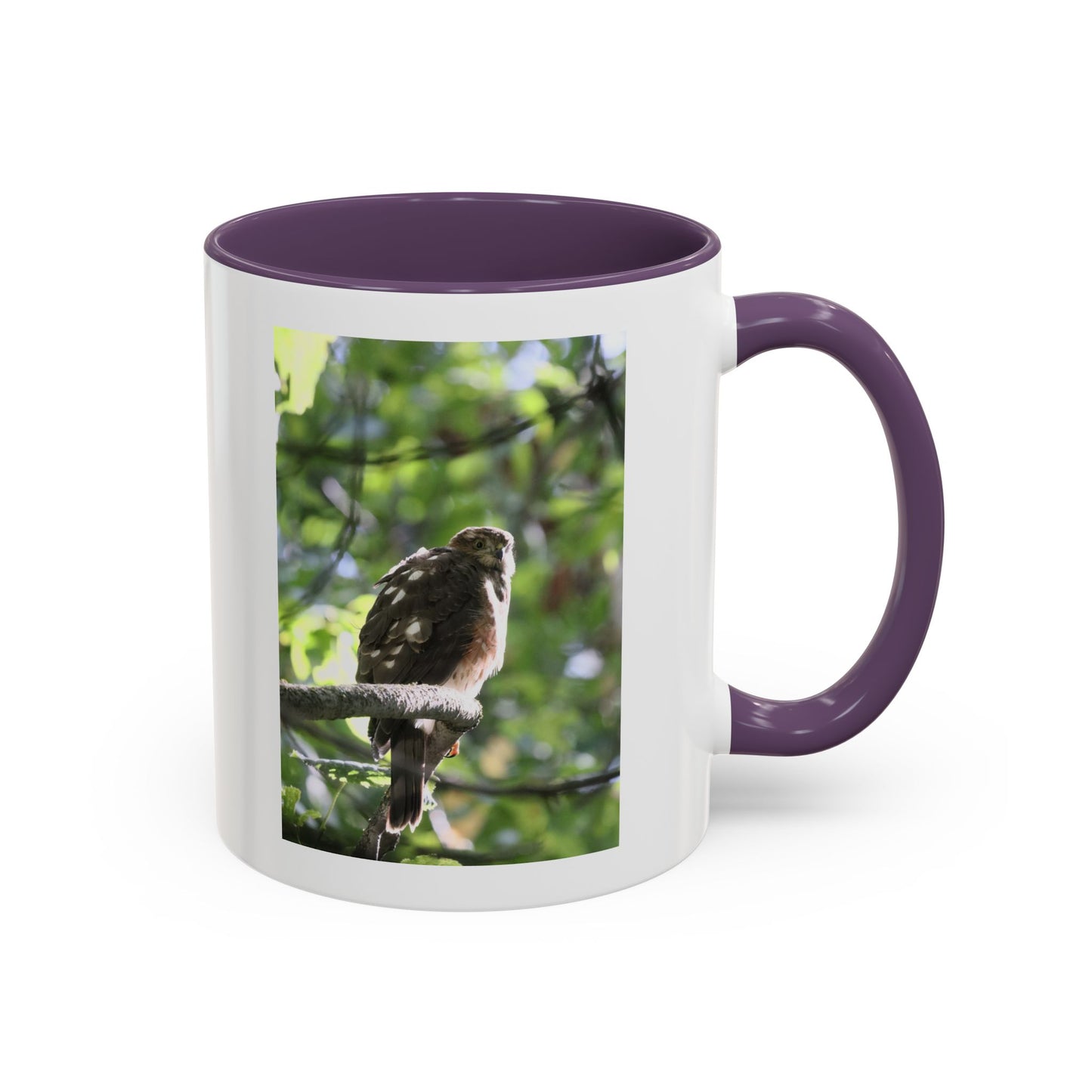 Hawk Perch Accent Coffee Mug (11/15 oz) – Nature Bird Photography