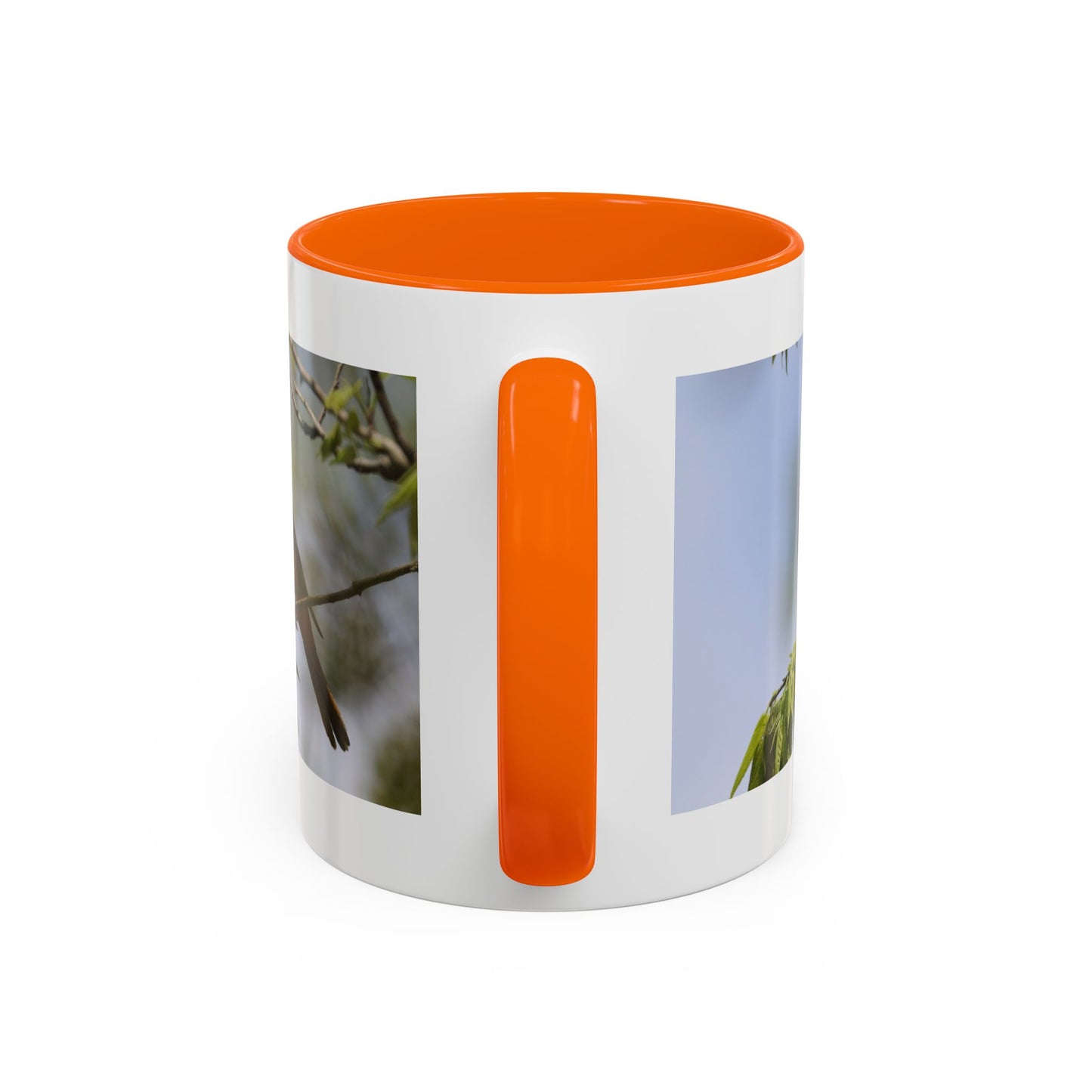 Baltimore Oriole Coffee Mug — Birdwatching Accent Mug (11/15oz)